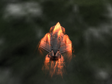 B-10R (0.25 Stock)