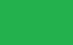 Flage (CANCELED)