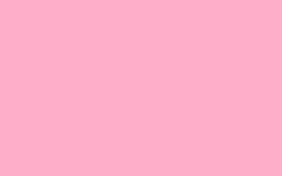 Flage (CANCELED)