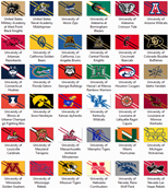 NCAA Division 1 Flags