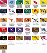 NCAA Division 1 Flags