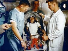 Realistic Mercury program